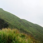 YangMing Mountain 