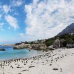 Boulders Beach