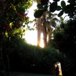 Camps Bay 02