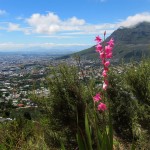 Cape Town 02