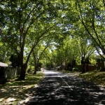 Kenridge
