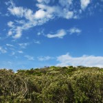 Cape Point Nature Reserve